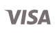 Visa logo